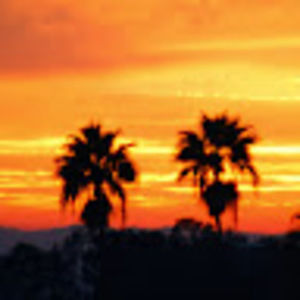 Meet your Posher, Roxane